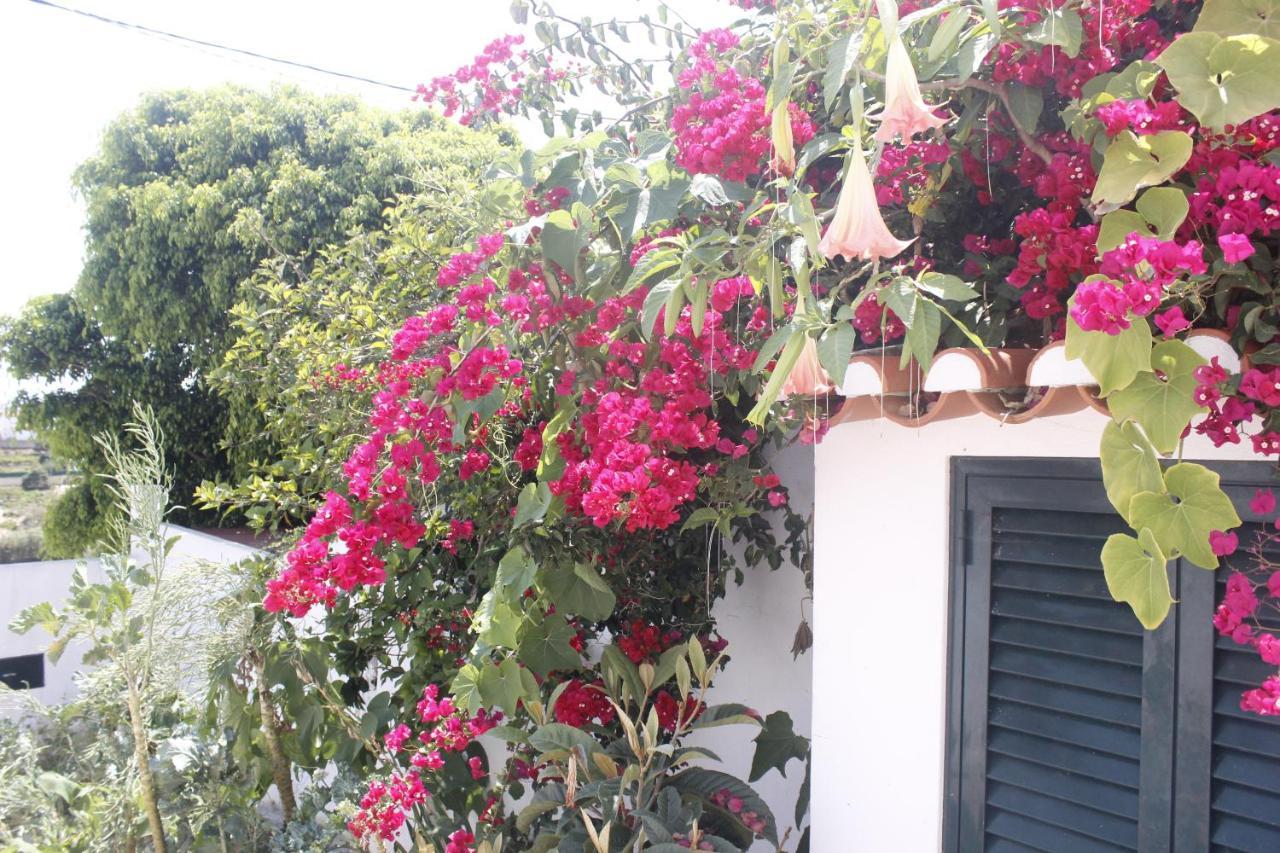 Casinha Da Andorinha - Ericeira Villa Buitenkant foto